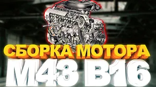 BMW E36 Сборка мотора M43B16. Почти капиталОчка.