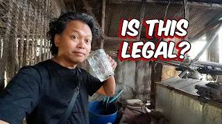 How Cambodian Moonshine is Made