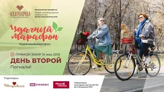 Мы продолжаем! День второй | Удачный марафон с онлайн-школой рукоделия "Шкатулочка"