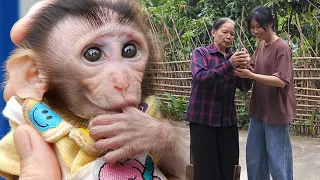 Baby Monkey Suddenly Disappeared, Making Grandma Worried...