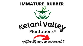 171 ---  Kelani Valley Plantation | Colombo share market | Cse