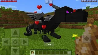 How To Tame a Ender Dragon in Minecraft Pocket Edition (Ride Dragon Addon)