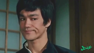 Bruce Lee the Ultimate Fighter 2019