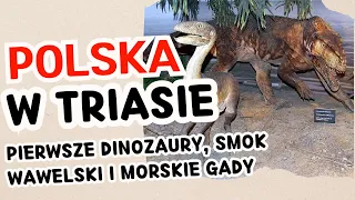 Polska w czasach dinozaurów – pierwsze polskie dinozaury, smok wawelski oraz życie w triasie.