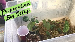 Propagation Box Set Up | How I Root & Rehab Plants