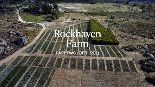 Rockhaven Farm Episode Two