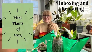 Hoya UNBOXING and Repotting: First New Houseplants of 2023! Plant Chores