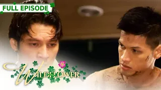 [ENG SUB] Ep 164 | Wildflower | Maja Salvador, Tirso Cruz III, Aiko Melendez