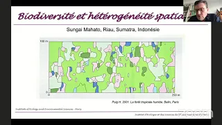 Webinaire | La productivité des forêts au temps de la transition écologique