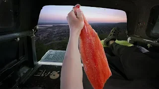 Catch and Cook KING SALMON Out of My Truck