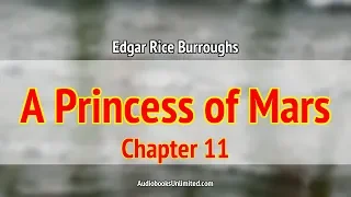 A Princess of Mars Audiobook Chapter 11