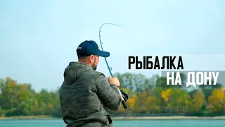 Рыбалка на Дону на фидер осенью. Сильное течение, лещ, карась, рыбец. Багаевская