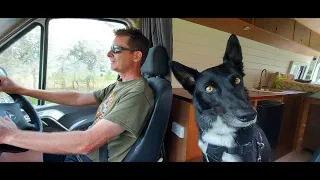 Going Off Grid EP17 - We lost our Nala