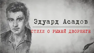 Zick Ryder - Стихи о рыжей дворняге (Эдуард Асадов) Аудиостихи | Поэзия | Стих про собаку | #shorts