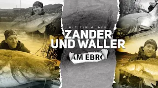 Zander und Waller am Ebro (im März auf die „Riesen“)