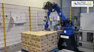 Autoline Installed Robot Palletiser