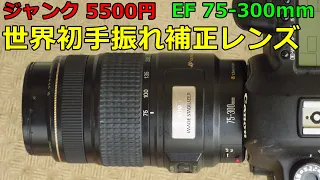 【ジャンクレンズ買い物】5500円 CANON EF75-300mm IF USM 動作検証・試し撮り
