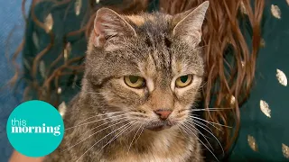 We Meet The Cat With The World’s Loudest Purr! | This Morning