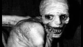 "The Russian Sleep Experiment." (Creepy Pasta)