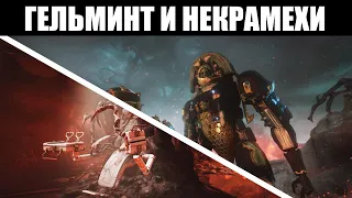 Warframe | ТЕННОКОН 2020 | Подробнее о ХРИЗАЛИДЕ Гельминта и НЕКРАМЕХАХ 🤖