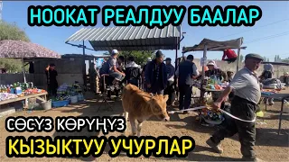 Реалдуу Баалар 😄👍🏻 / 10_09_2023