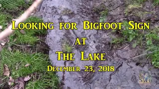 Looking for Bigfoot Sign at the Lake, Dec. 23, 2018