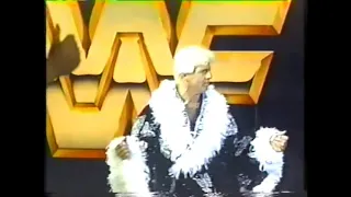 Ric Flair vs Jobber Jim Powers WWF Superstars 1991