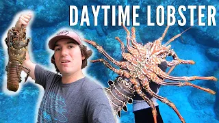 Spearfishing Hawaii Daytime Lobster Catch and Cook {Lobster Risotto}