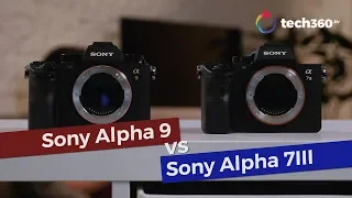 Shootout: Sony A9 vs Sony A7III