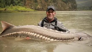 LE PLUS GROS MONSTRE D'AMÉRIQUE DU NORD - Cyril Chauquet