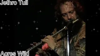 Rockclassics: Jethro Tull - Acres Wild