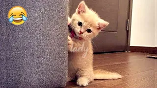 New Funny Animals 😅 Funniest Cats and Dogs Videos 2023 😹🐶 Part 14