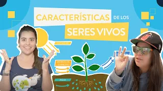 Características de los seres vivos