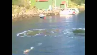 Ребенок плавает возле Кита