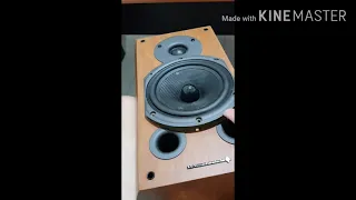 DIY Repair Whafendale 9.1 Diamond Speakers