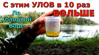 НАСАДКА ПО ХОЛОДНОЙ ВОДЕ. АКТИВАТОР КЛЁВА В ОПАРЫШ. Вся рыба клюёт по холодной воде карась лещ карп