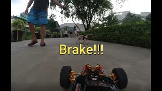 FPV RC Car Got Wrecked by a Dog!!!