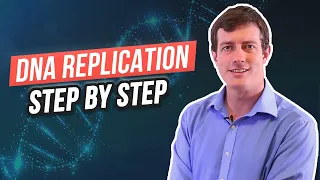 6 Steps of DNA Replication