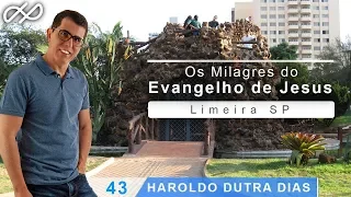 Haroldo Dutra Dias  - Os Milagres do Evangelho de Jesus