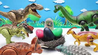 Who's Dinosaur Eggs? Amazing Dino Egg Hatching