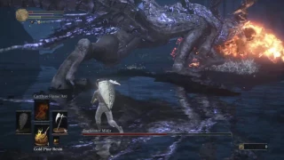 SL1 NG+7 No rolling/blocking/parrying Darkeater Midir