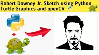 Robert Downey Jr. Sketch using Python Turtle 🐢 Graphics in Python Coding #shorts #python #coding