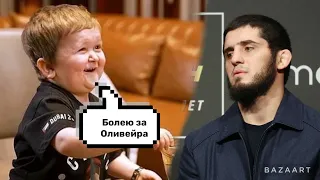 Ислам махачев Хасбик я болею за Оливейра