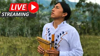 Jorge Sangre Ancestral LIVE | Inkapa Puriñan | Relaxing music | Flute | Native