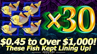 45-Cents to Over $1,000!! These Fish Were Lining Up! A Great Night of 5 Dragons Slot Action!