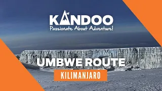 Climb Kilimanjaro via Umbwe route with Kandoo Adventures