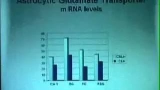 Public Lecture: New Approaches to Treatment of Depression and Bipolar Disorder (Part 2 of 4)