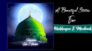 Pohchoon Dar E Sarkar ﷺ Pe Chaha To Yehi Hai || Beautiful Status Madinah - Zohaib Ashrafi Status 🌺