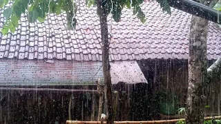 Stop overthinking! instantly sleep with rain noise in the village, suara hujan