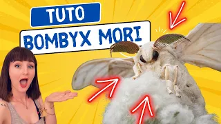 Comment élever des vers à soie ? Guide/Tuto complet du Bombyx mori